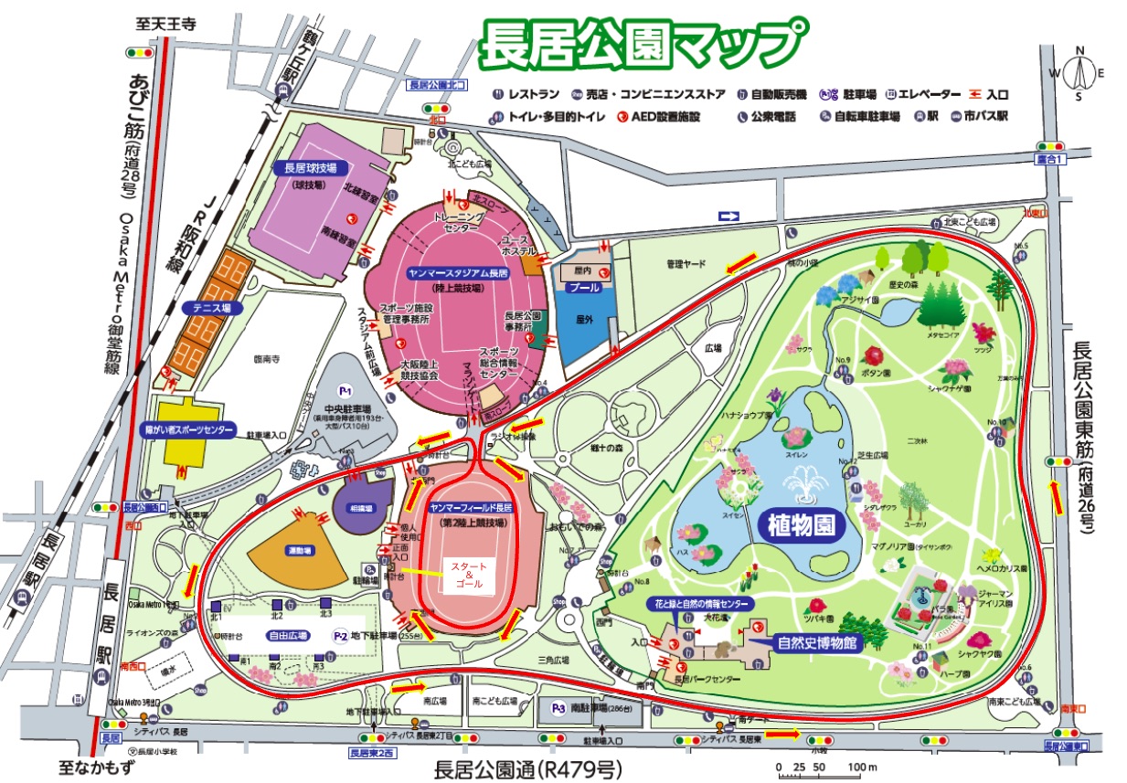 コース